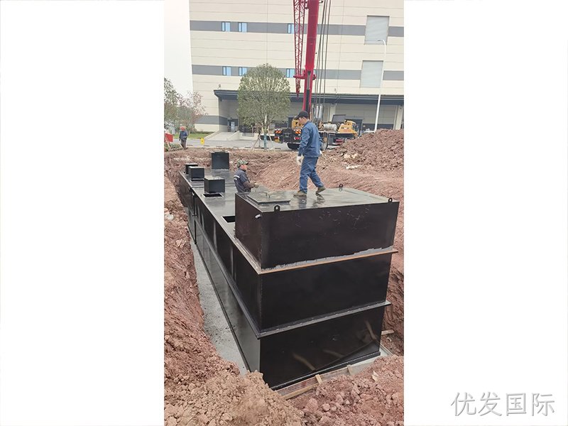 案例展示